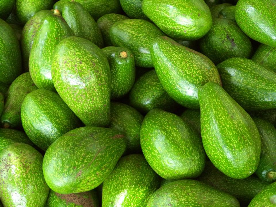 Top 10 Loại Thực Phẩm Tốt Cho Gan Được Khuyến Cáo Nên Dùng Thường 9 image 29