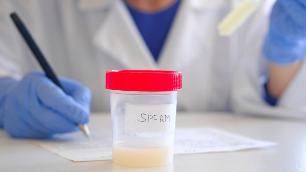 Không Xuất Tinh Lâu Ngày, Tinh Trùng Đi Đâu?