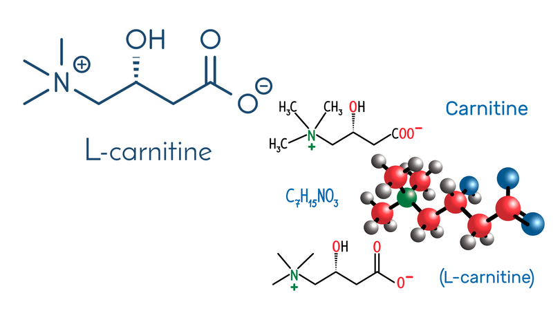 L-Carnitine