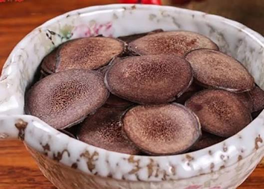 Nhung Hươu