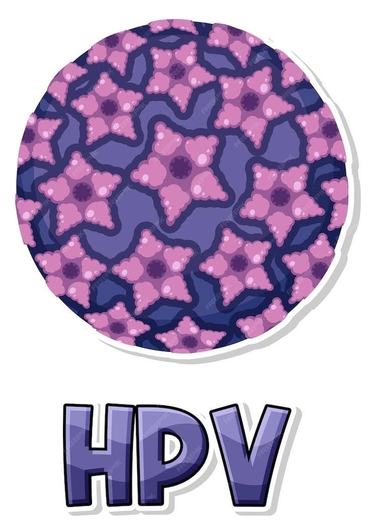 HPV Nam: Nguyên Nhân, Dấu Hiệu, Chẩn Đoán Và Phương Pháp Điều Trị
