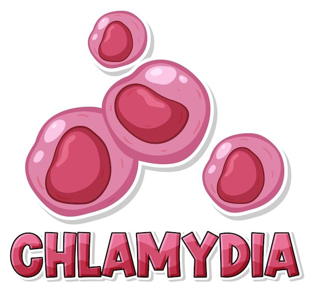 Bệnh Chlamydia: Nguyên nhân, triệu chứng, hệ lụy và hướng dẫn điều trị chuẩn y khoa