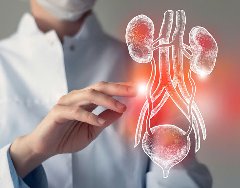 Nang thận và bệnh nang đường tiết niệu: Nguyên nhân và dấu hiệu